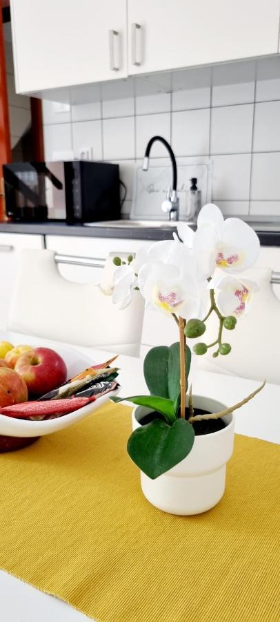 רוביני Apartments Severina מראה חיצוני תמונה
